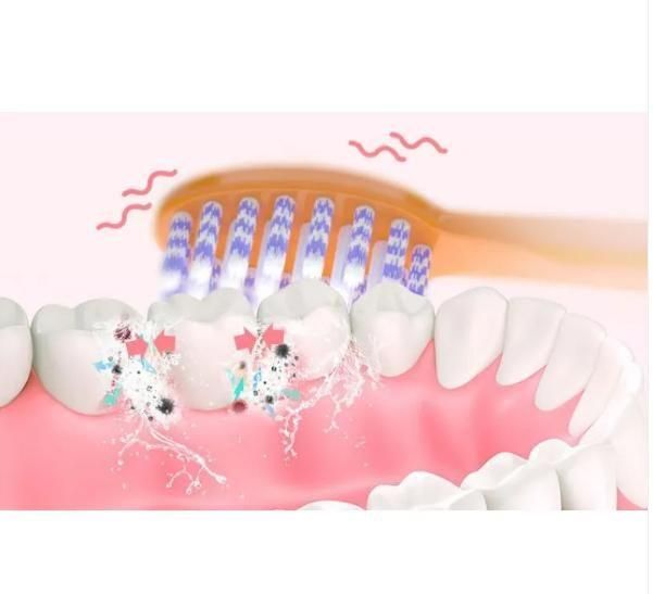 Electric Toothbrush, Teeth & Gums Care Toothbrushes